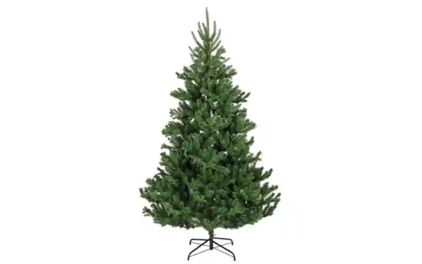 Bild 2 von Tannenbaum Alba, grün, 180 cm