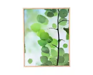 Bilderrahmen Eiche, 40 x 50 cm