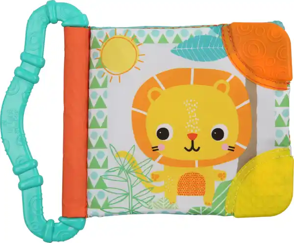 Bild 2 von Teethe & Read Toy