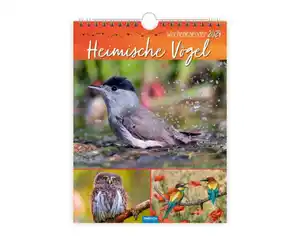 Kalender Vögel,Freund