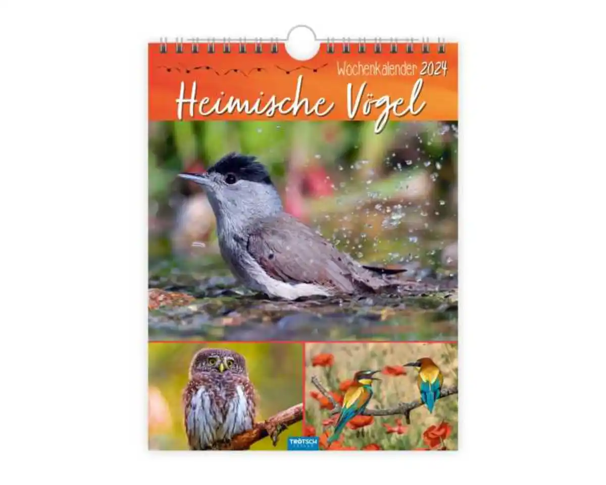 Bild 1 von Kalender Vögel,Freund