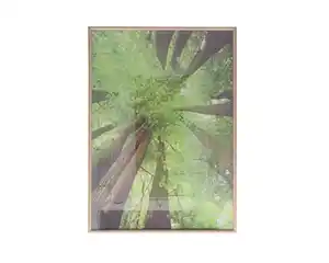 Bilderrahmen in Eiche-/Buche-Optik aus Kunststoff 50 x 70 cm / 40 x 60 cm 2fach