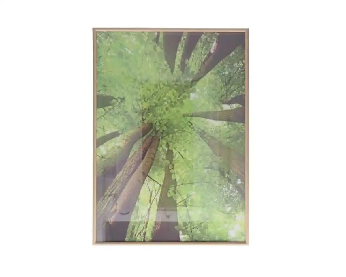 Bild 1 von Bilderrahmen in Eiche-/Buche-Optik aus Kunststoff 50 x 70 cm / 40 x 60 cm 2fach