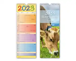 Maxi-Streifen Kalender Familie 20 x 45 cm 2fach