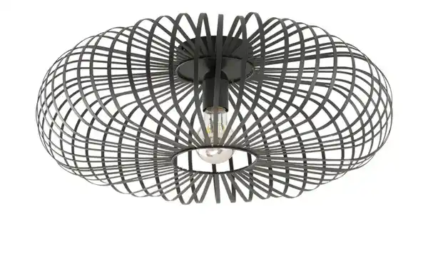 Bild 3 von Trio Deckenleuchte, 1-flammig, Metall schwarz ´groß`