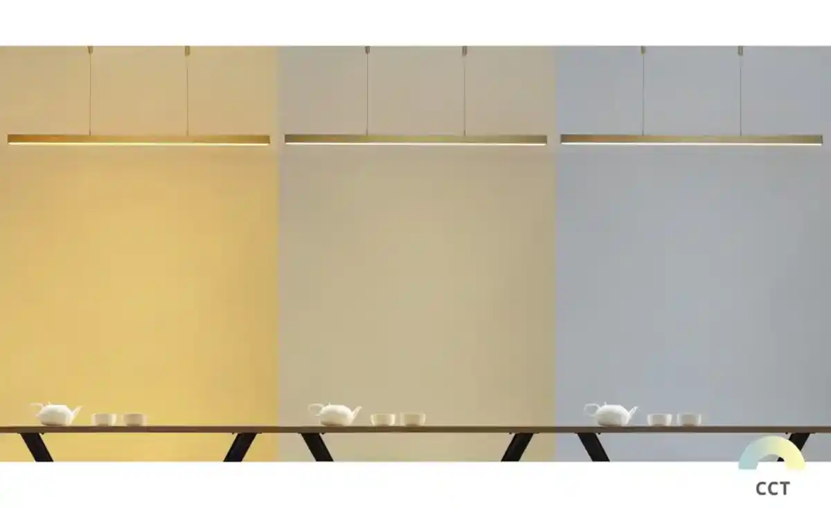 Bild 3 von Paul Neuhaus LED-Pendelleuchte, messing-matt mit Touchdimmer