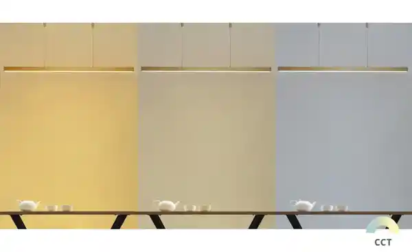 Bild 3 von Paul Neuhaus LED-Pendelleuchte, messing-matt mit Touchdimmer