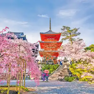 Weltmetropolen von Istanbul bis Kyoto