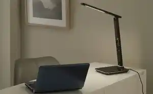 Paul Neuhaus LED-Schreibtischleuchte, braun