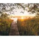 Bild 1 von Komar Vliestapete, Bäume, 300x250 cm, FSC Mix, Tapeten & Wandverkleidungen, Vliestapeten