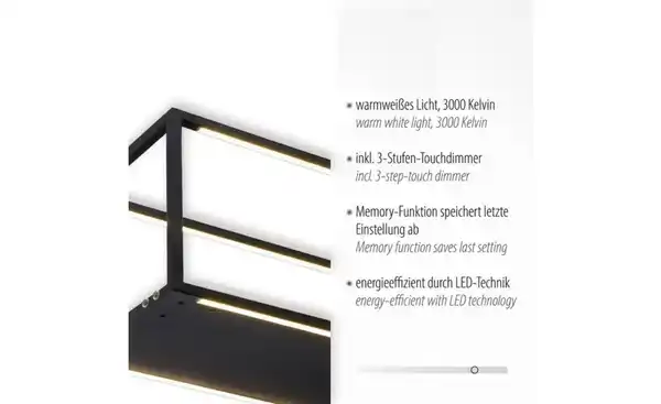 Bild 4 von Paul Neuhaus Pendelleuchte