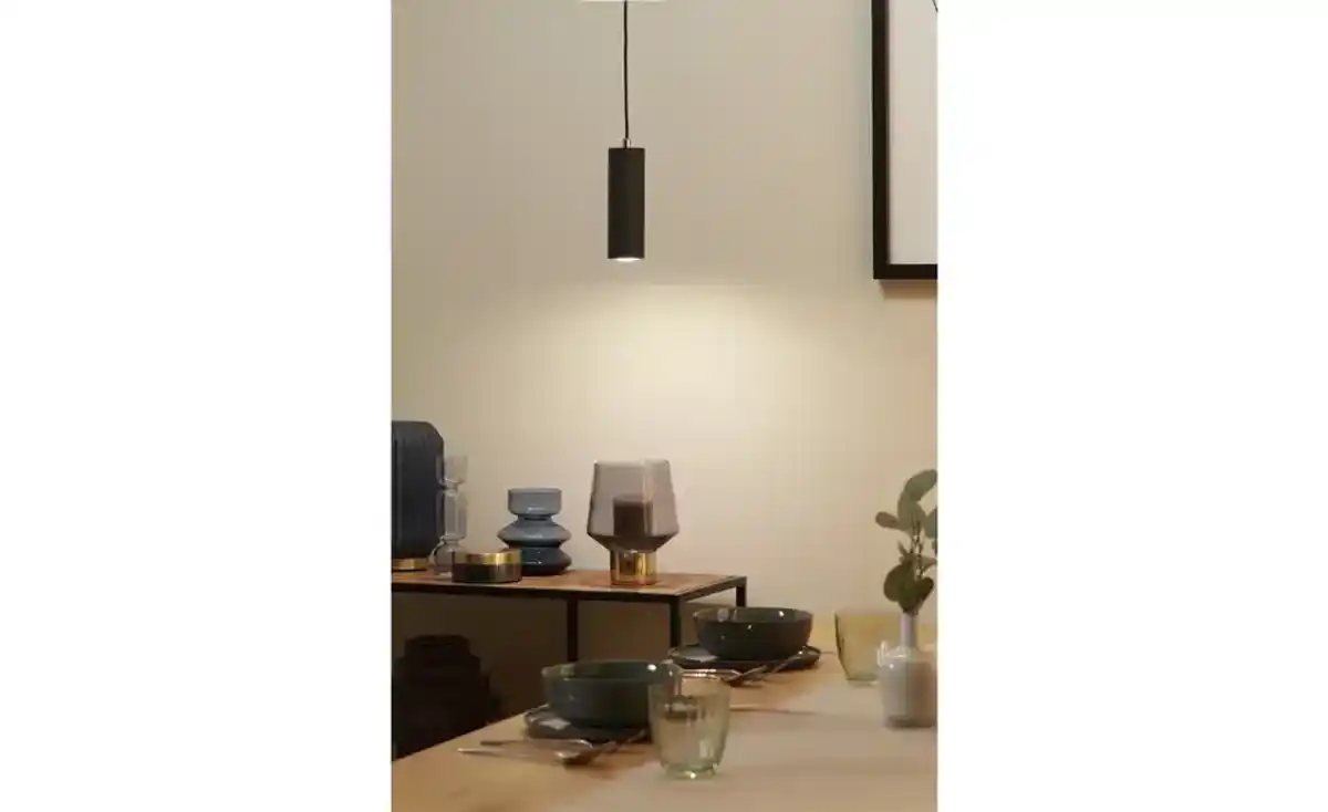 Bild 1 von Trio Pendelleuchte, 1-flammig, schwarz