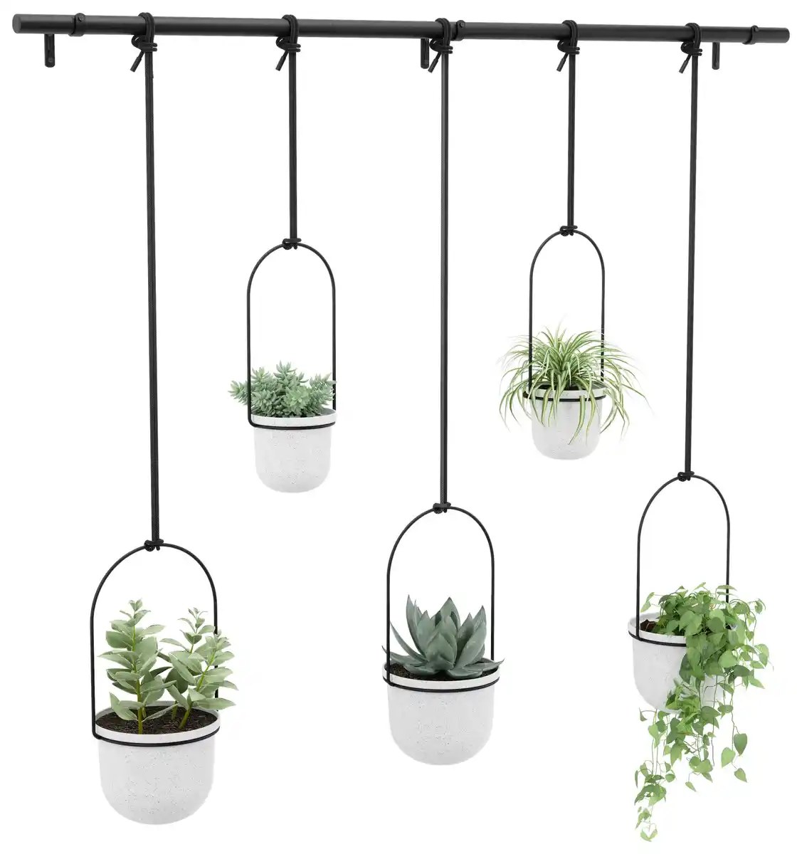 Bild 1 von Pflanzentop Schwarz/Weiß, Weiß, Schwarz