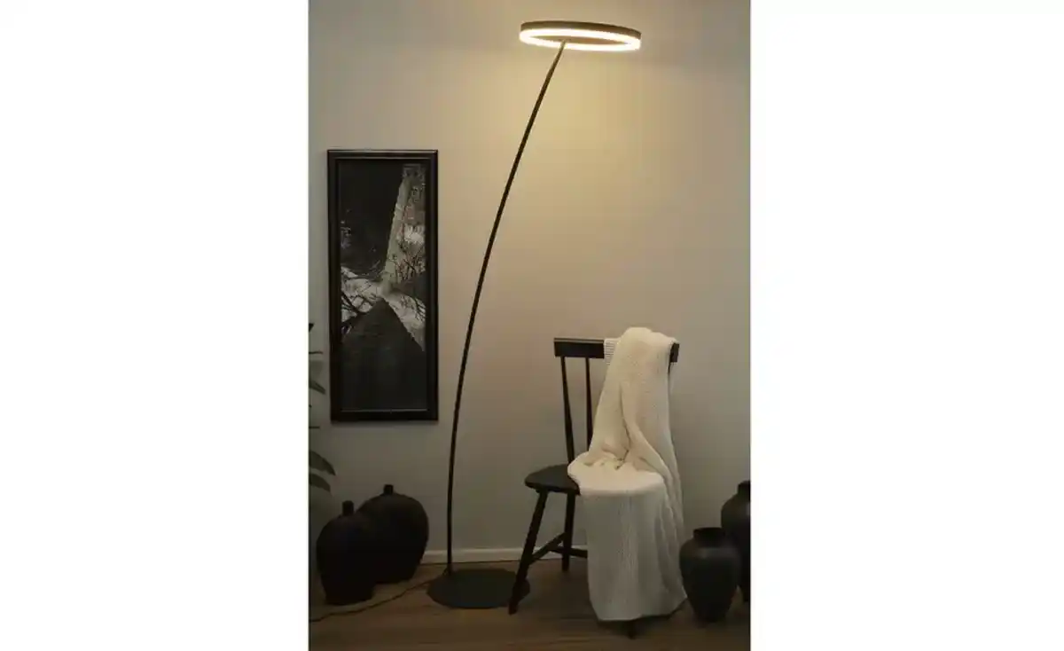 Bild 1 von Paul Neuhaus LED-Stehleuchte, 1-flammig, anthrazit