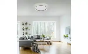 Paul Neuhaus Deckenleuchte