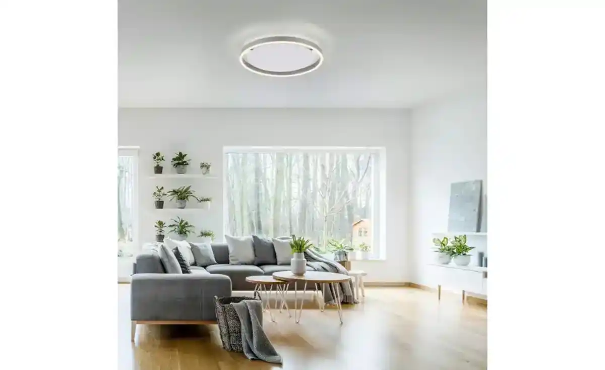 Bild 1 von Paul Neuhaus Deckenleuchte