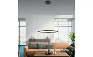 Paul Neuhaus LED Pendelleuchte