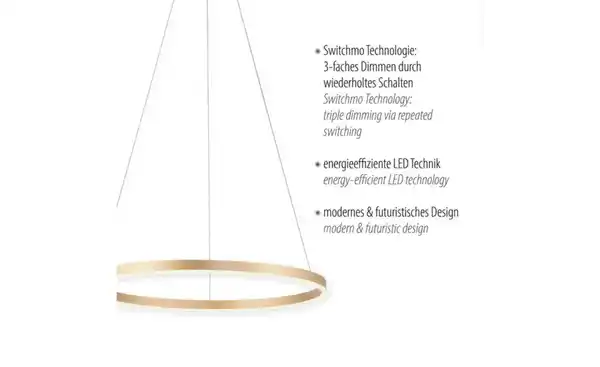 Bild 4 von Paul Neuhaus Pendelleuchte