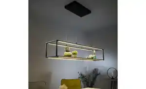 Paul Neuhaus Pendelleuchte