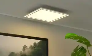 Paul Neuhaus LED-Deckenleuchte, weiß