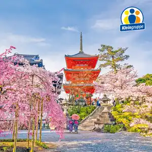 Weltmetropolen von Istanbul bis Kyoto max. 19 Pers.