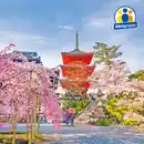 Bild 1 von Weltmetropolen von Istanbul bis Kyoto max. 19 Pers.