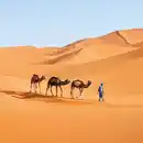 Bild 1 von Marokko für Entdecker