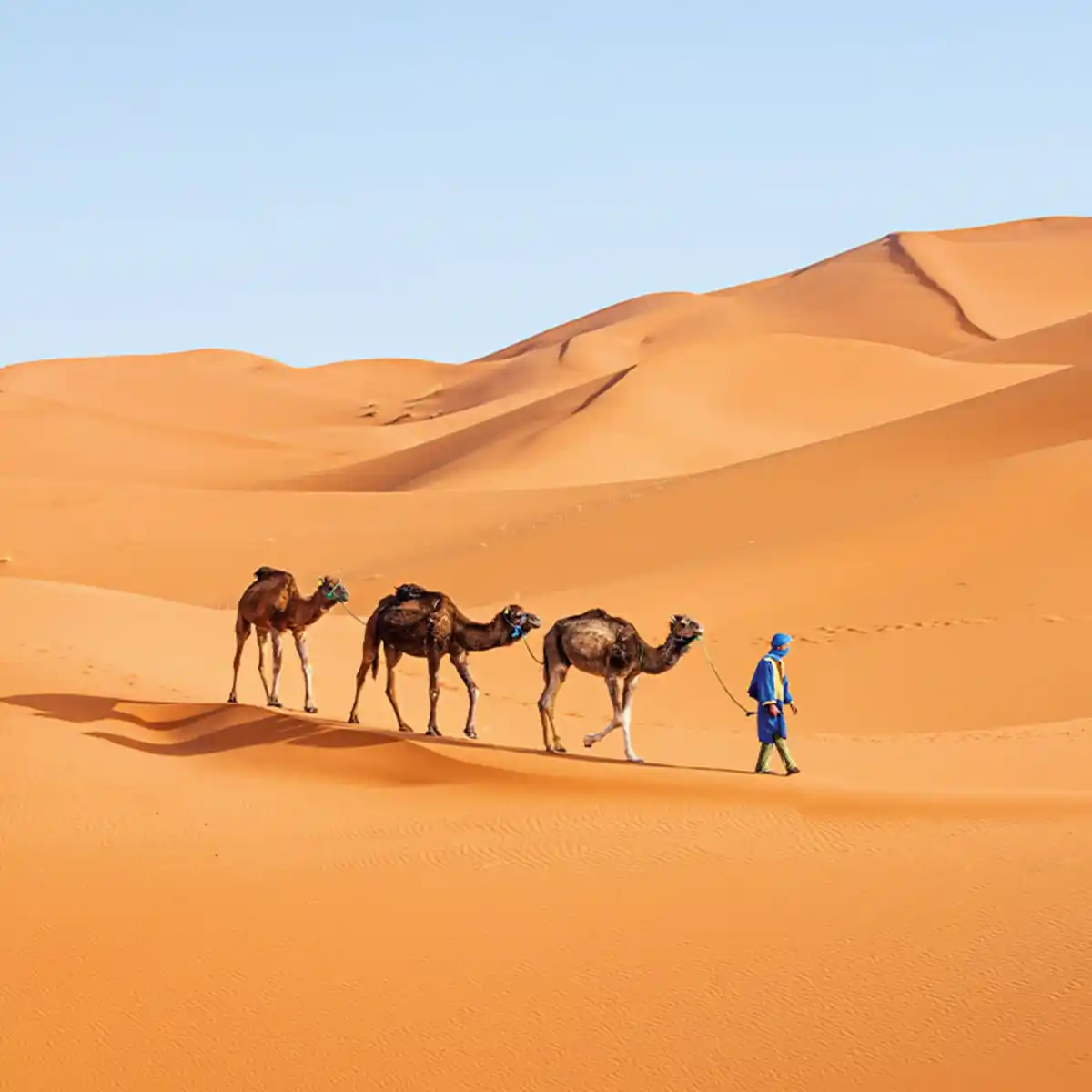 Bild 1 von Marokko für Entdecker