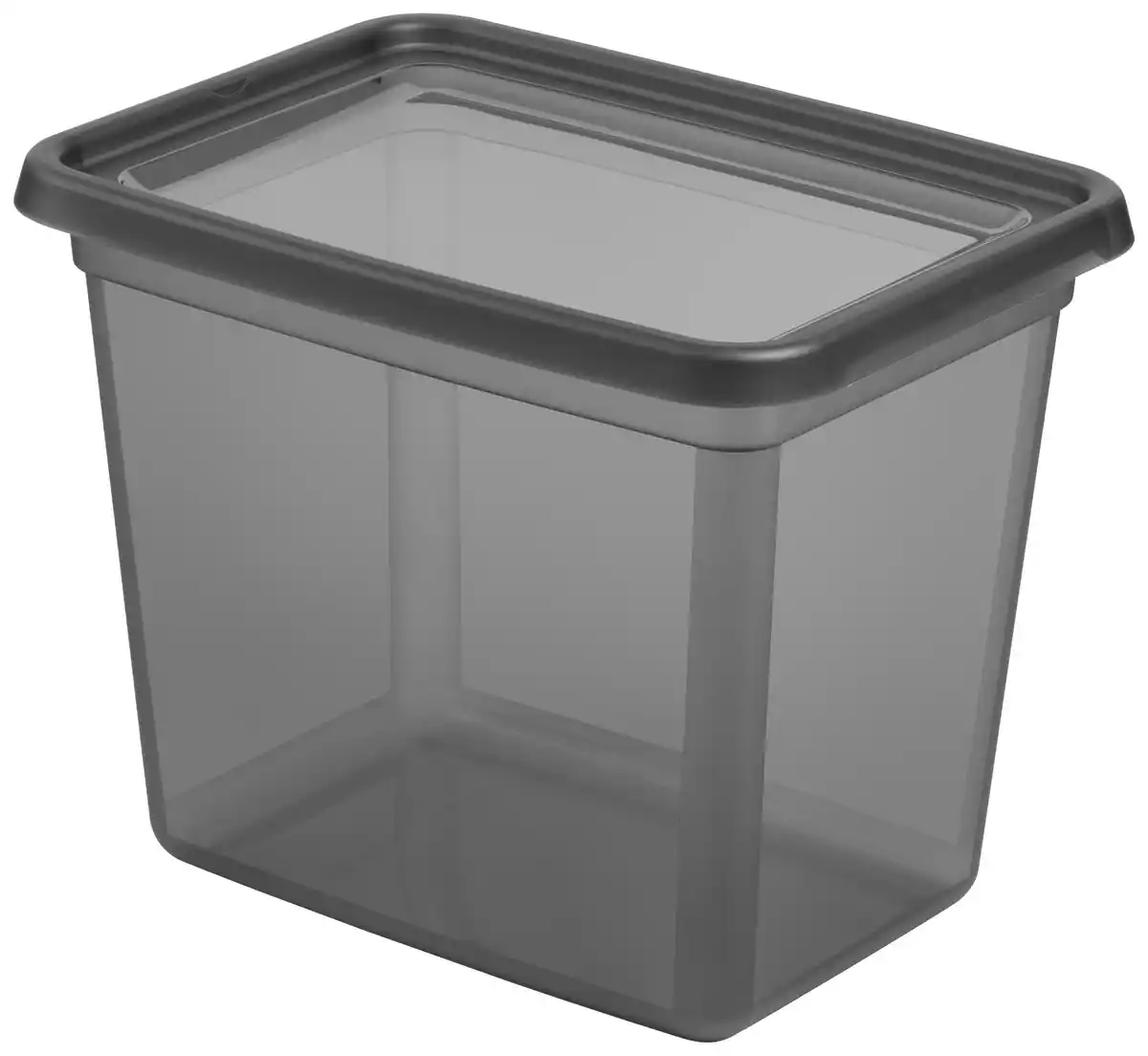 Bild 1 von Aufbewahrungsbox Blacky in Schwarz ca. 20l, Schwarz, Transparent