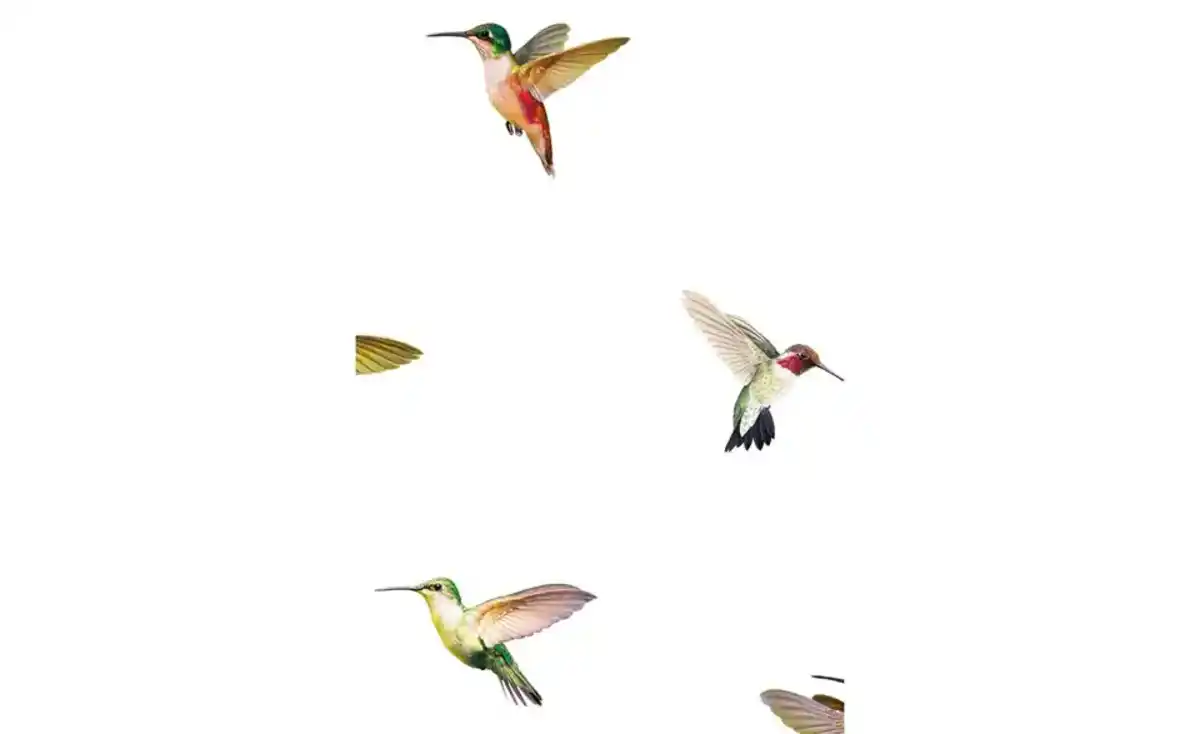 Bild 3 von Apelt Bettwäsche-Set