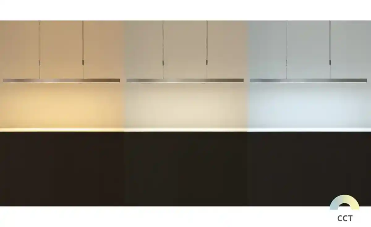 Bild 4 von Paul Neuhaus LED-Pendelleuchte, alufarben