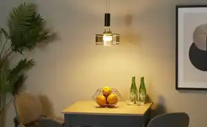 Fischer-Honsel LED-Pendelleuchte