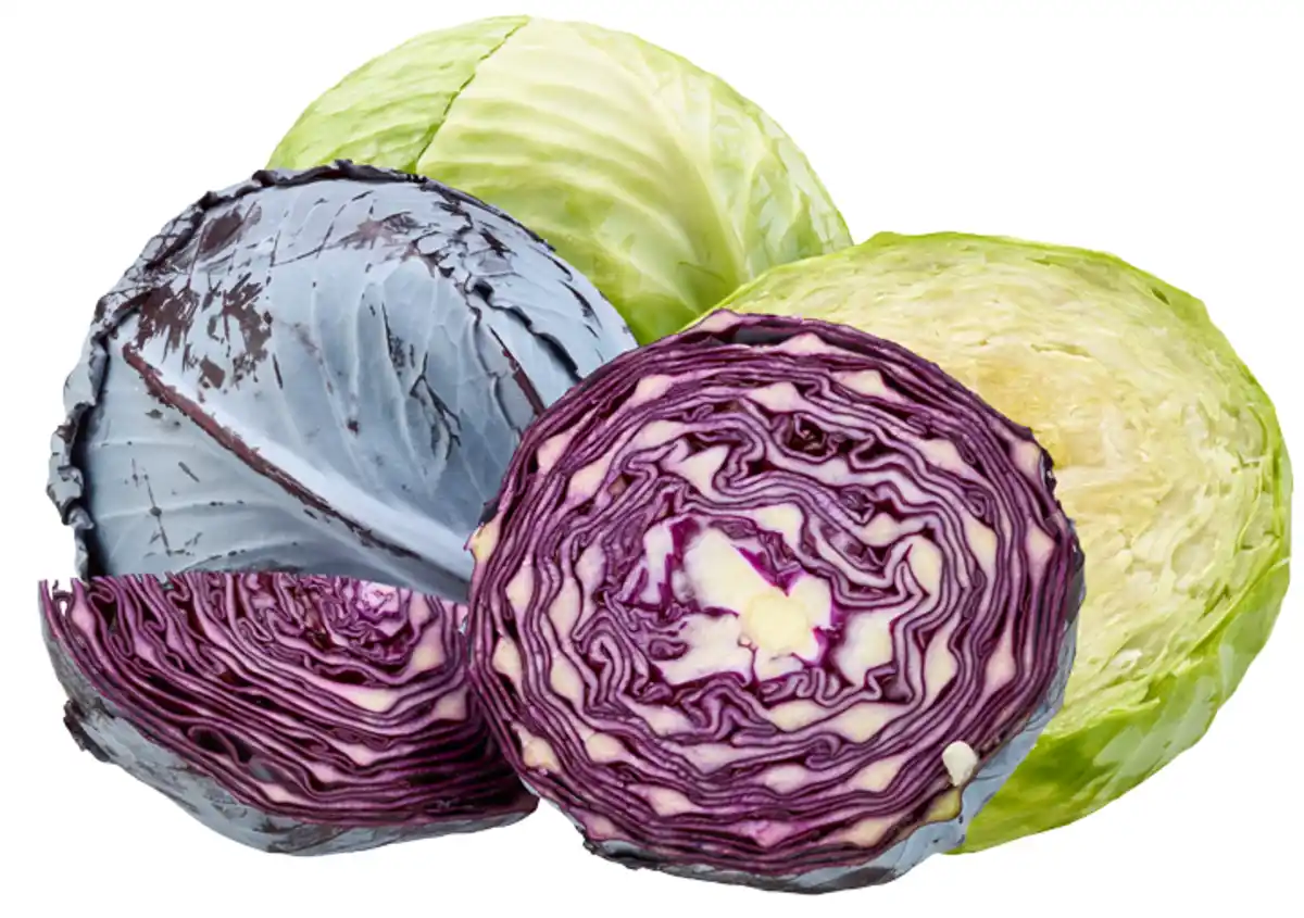 Bild 1 von Rot- oder Weißkohl