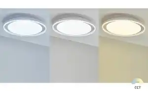 Paul Neuhaus LED-Bad-Deckenleuchte, weiß mit Fernbedienung