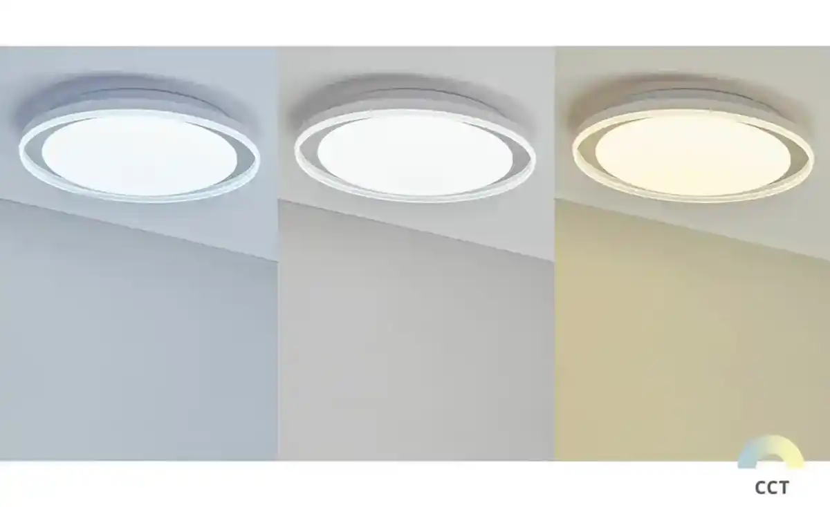 Bild 1 von Paul Neuhaus LED-Bad-Deckenleuchte, weiß mit Fernbedienung