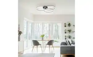 Paul Neuhaus Deckenleuchte