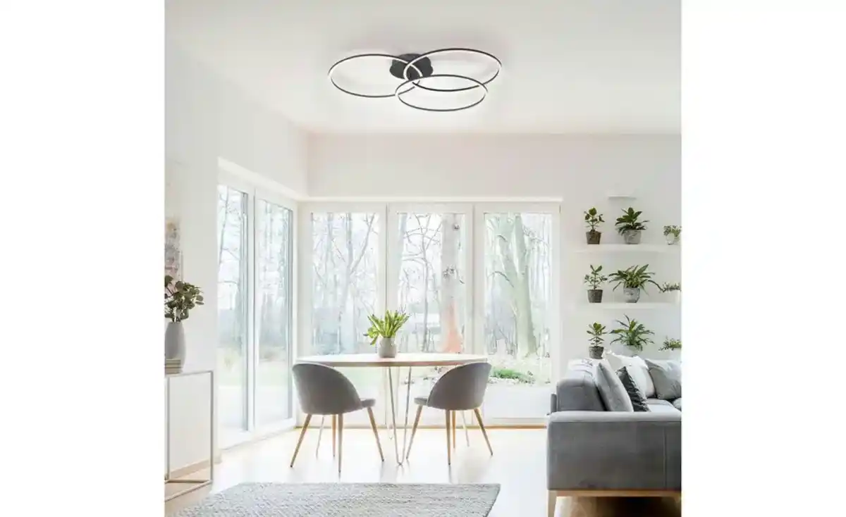 Bild 1 von Paul Neuhaus Deckenleuchte