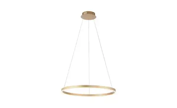 Bild 2 von Paul Neuhaus Pendelleuchte