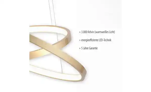 Bild 4 von Paul Neuhaus Pendelleuchte