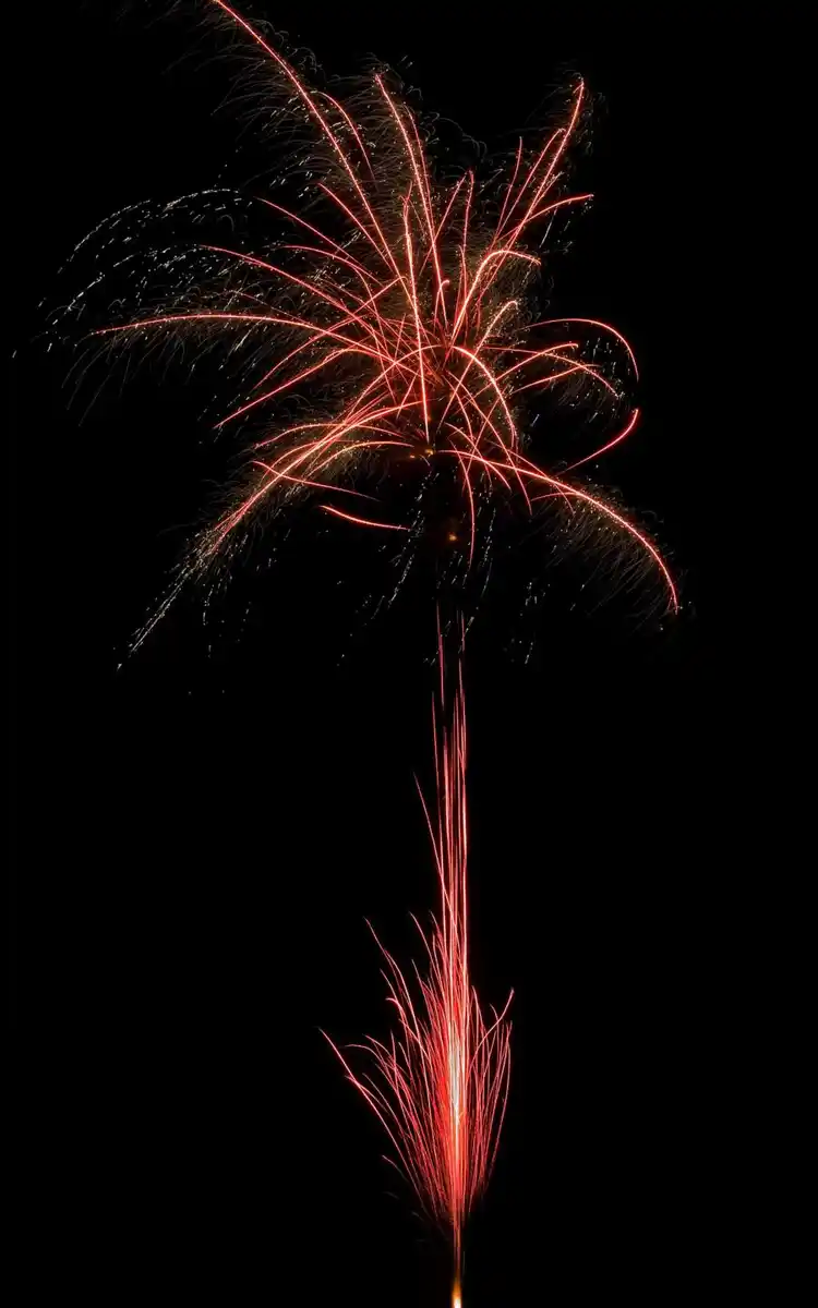 Bild 3 von COMET XXL-Fächer-Verbund-Feuerwerk »Big Beast«