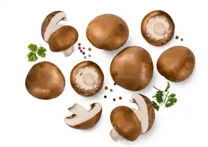 Dtsch. Champignon braun, lose, 1 kg