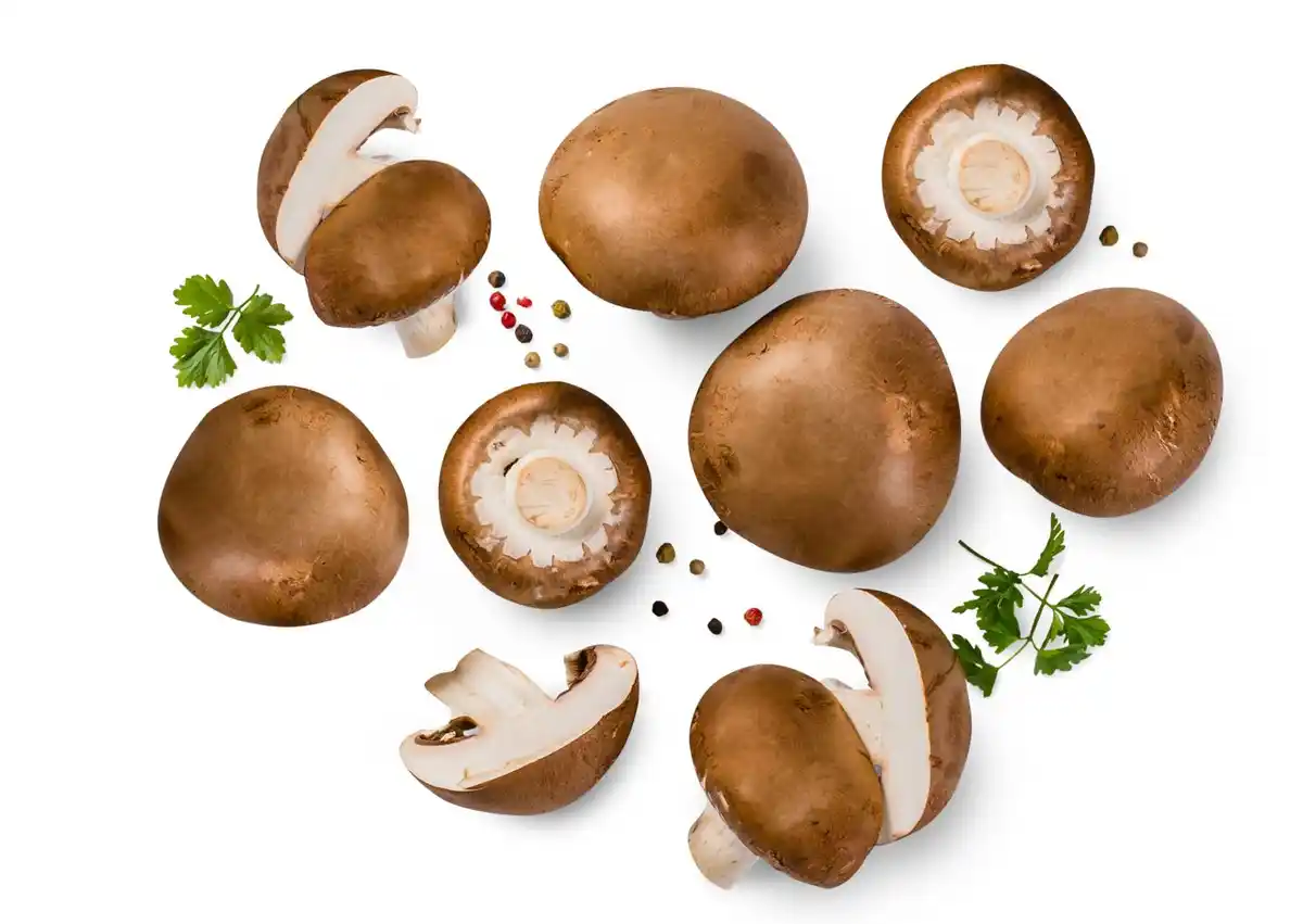 Bild 1 von Dtsch. Champignon braun, lose, 1 kg