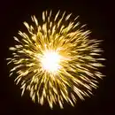 Bild 4 von COMET Premium-Raketen-Set »Goldrush Rockets«, 6-St.-Packg.