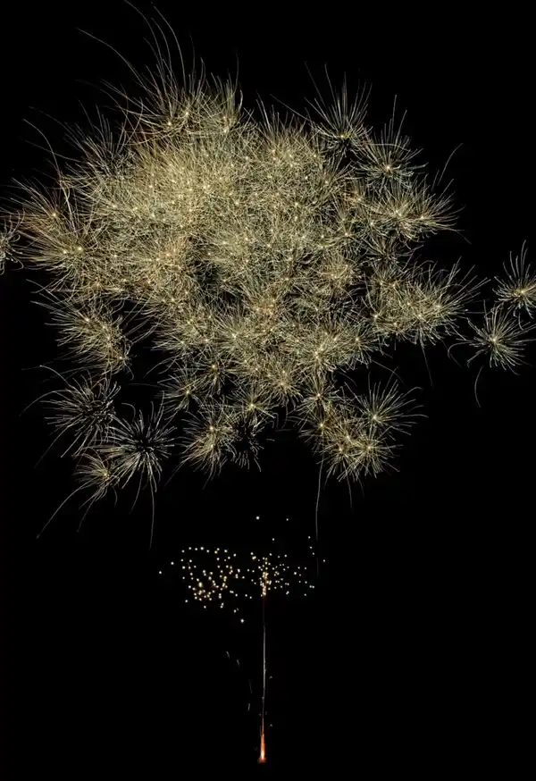 Bild 3 von COMET »Iron Burst« Feuerwerksbatterie