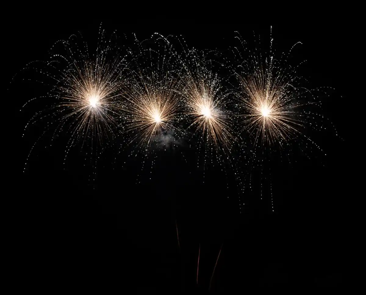 Bild 4 von COMET »Wild Throat« Feuerwerksbatterie