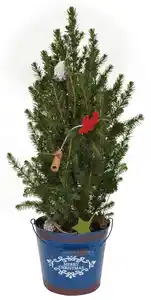 Weihnachtsbaum, dekoriert