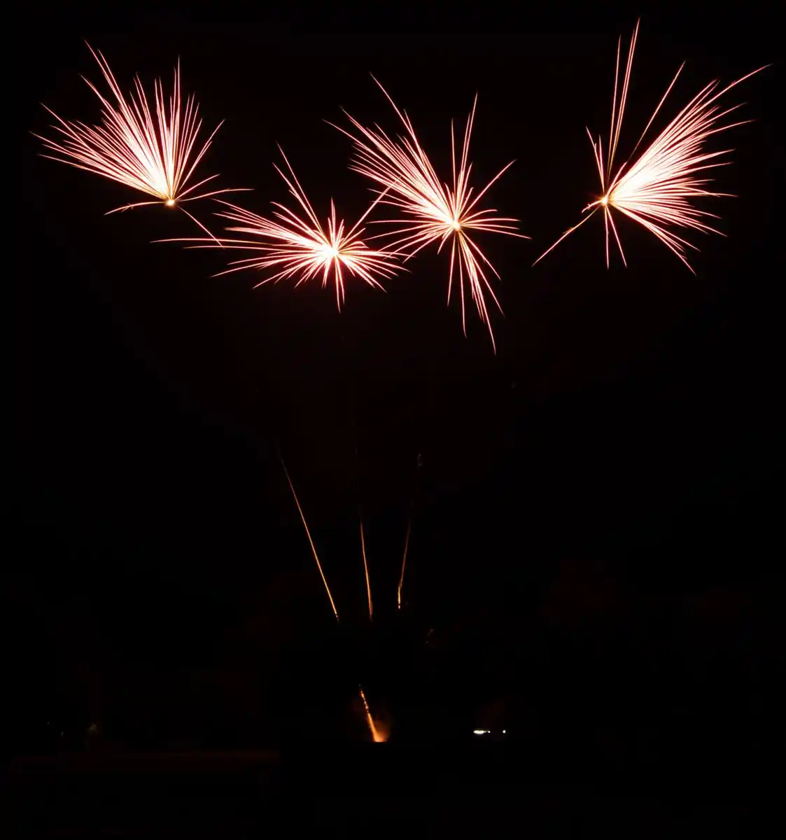 Bild 2 von COMET »Wild Throat« Feuerwerksbatterie