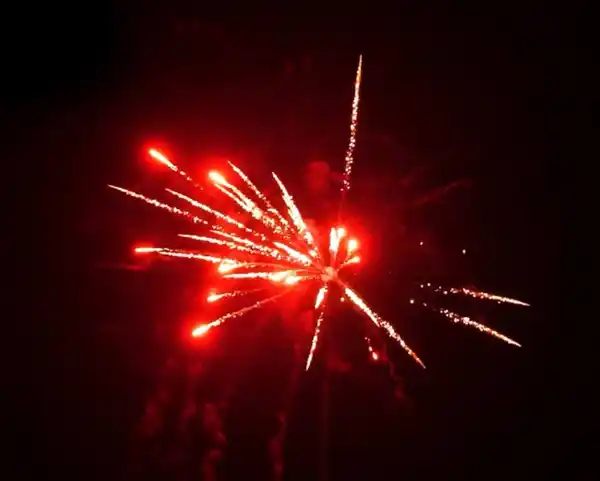 Bild 3 von WECO »Snake Bite« Feuerwerksbatterie