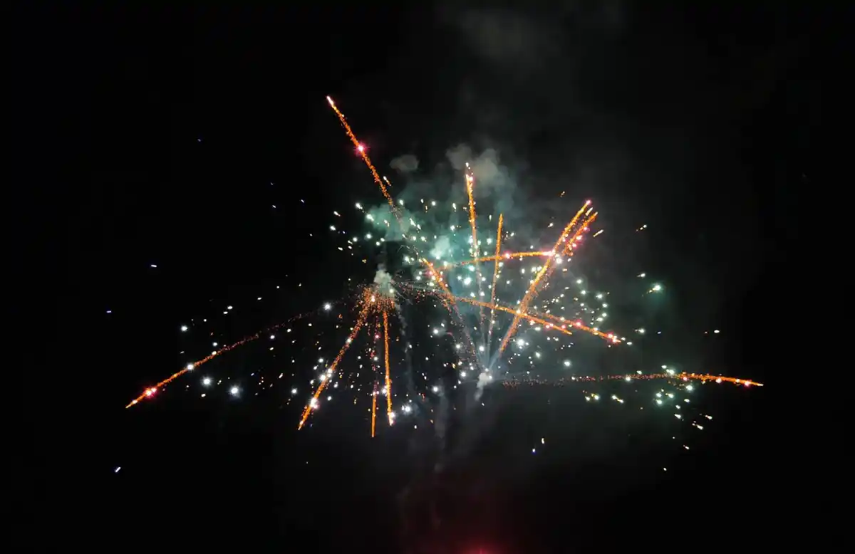 Bild 3 von WECO Palm-Star-Knister-Batterie »Superflare«