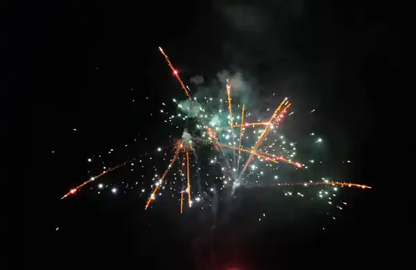 Bild 3 von WECO Palm-Star-Knister-Batterie »Superflare«